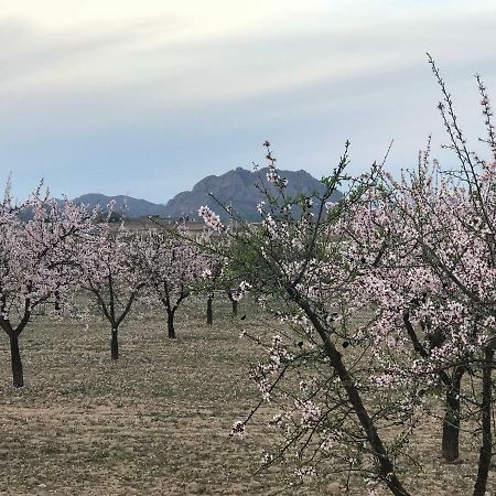 Cortijo De Los Castellanos Las Ventanas Eksteriør billede