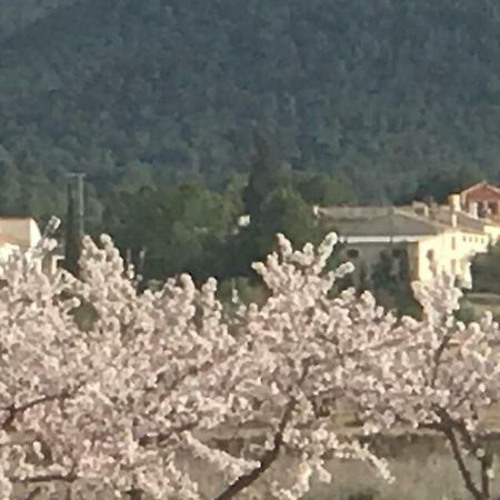 Cortijo De Los Castellanos Las Ventanas Eksteriør billede