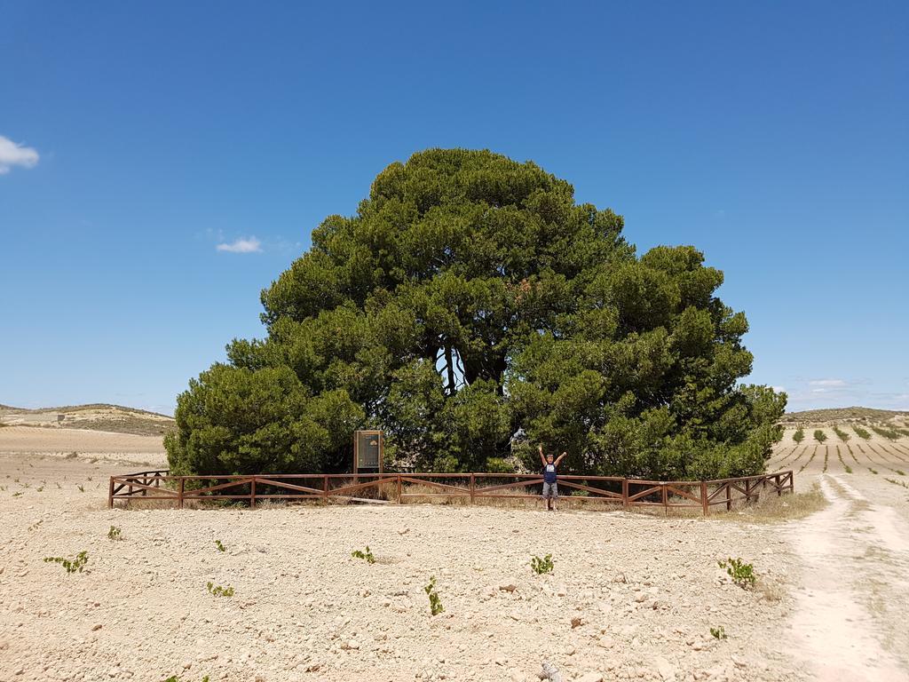 Cortijo De Los Castellanos Las Ventanas Eksteriør billede